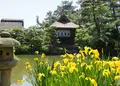 中津万象園・丸亀美術館の写真_46330