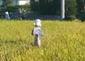 信濃大町の写真_46344