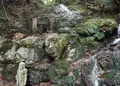 滝不動の写真_46718