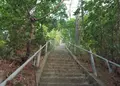白山島の写真_46941
