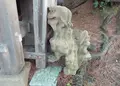 白山島の写真_46943