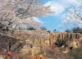 阿波の土柱の写真_53082