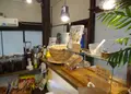岡村島の写真_54125