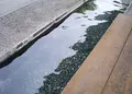 白雲谷温泉ゆぴかの写真_54386