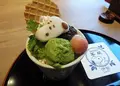 スヌーピー茶屋伊勢の写真_56065