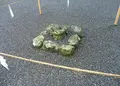 伊勢神宮外宮（豊受大神宮）の写真_56067