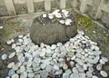多賀大社の写真_56201