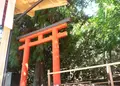 春日大社の写真_57092