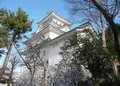 大垣城の写真_57736