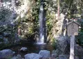 大垣城の写真_57738