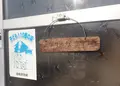 桜江町川戸３９４−１の写真_57983