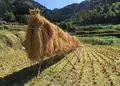 鮎の瀬交流館の写真_60227