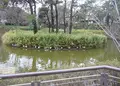 妙正寺公園の写真_60351