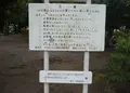 妙正寺公園の写真_60352