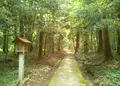 伊和神社の写真_61718