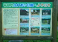 庭田神社（兵庫県宍粟市にある日本酒発祥の神社・初詣・厄除祈願・合格祈願・安産祈願・開運祈願のことなら）の写真_62046