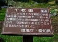 四谷千枚田の写真_68438