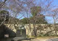 萩城跡指月公園の写真_70427