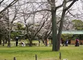中津万象園・丸亀美術館の写真_70860
