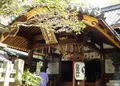 白雲神社の写真_71486