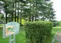 大蓮公園の写真_74877