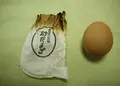 鳥取砂丘の写真_75642