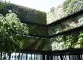 東急プラザ銀座の写真_77794