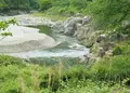 モネの池（名もなき池）の写真_78640
