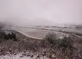川口米の写真_79286