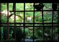 宝泉院の写真_85918