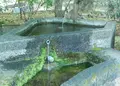 功山寺の写真_89615