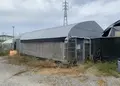 岸井うどんの写真_1054488