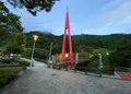 霧の森の写真_1079948