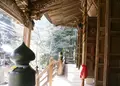 槙尾山施福寺の写真_124824