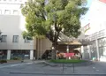 宝塚ホテルの写真_126671