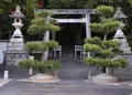 見晴らしを期待して登ってみたもののの写真_128025