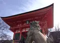 清水寺の写真_128687