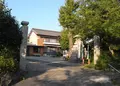 東光寺の写真_131131