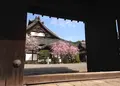妙法院の写真_132384