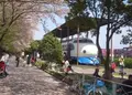 新幹線公園の写真_132411