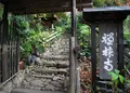 禅林寺の写真_132467