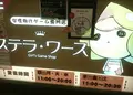 ステラワースの写真_133206