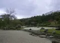 日本庭園 万博公園の写真_133340