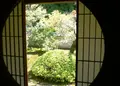 御寺泉涌寺 別院 雲龍院の写真_134012