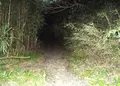 釈迦堂切通の写真_134372