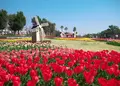 国営明石海峡公園の写真_134530