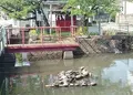 鹿沼市役所の写真_134578