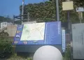山崎の写真_134819