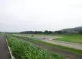 江川の写真_134824