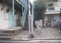 長寶寺の写真_134878